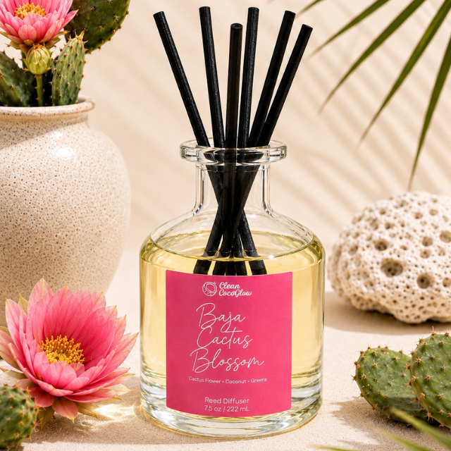 baja cactus blossom reed diffuser