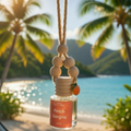 Peach Sangria Car Diffuser
